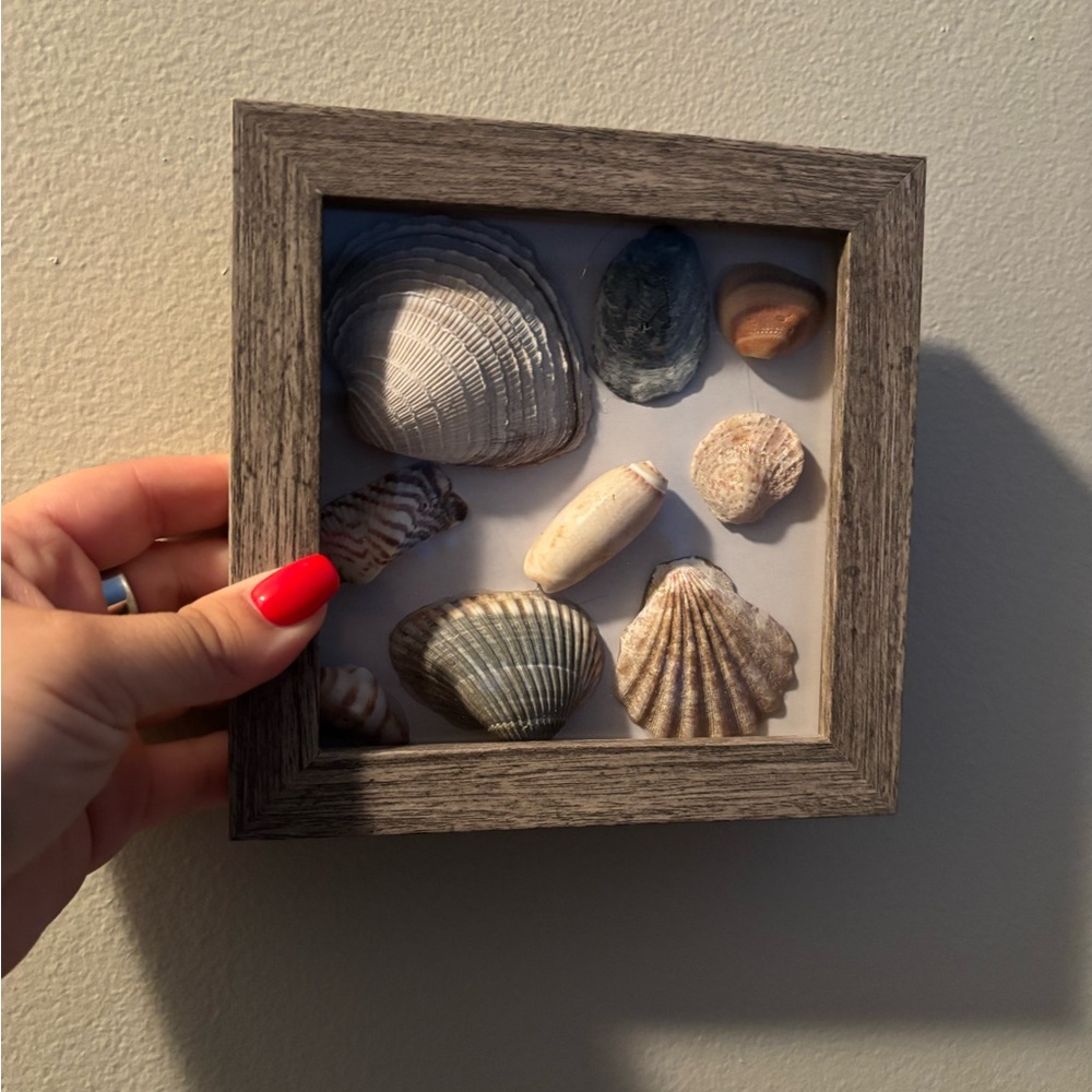 Seashell Studio Decor Rustic Brown Frame